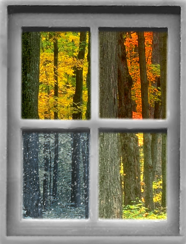 Photoshop Design by kosherboy for DesignCrowd (Community Contests) | Design #8940415