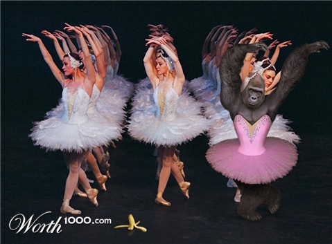 Photoshop Design by Lunacy Interactive