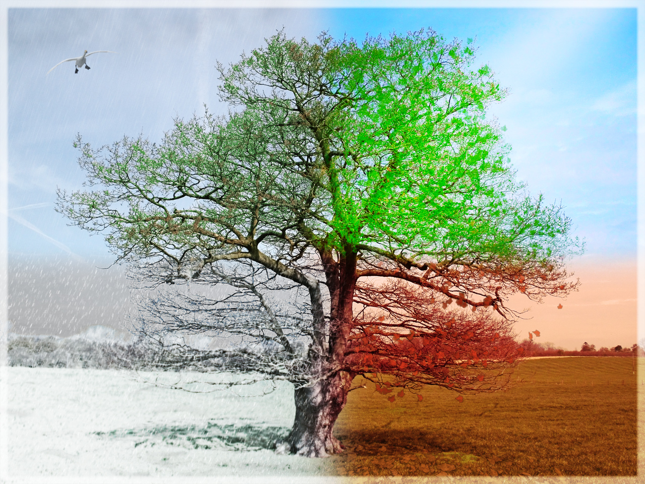 Photoshop Design by jaca1984 for DesignCrowd (Community Contests) | Design #8940407