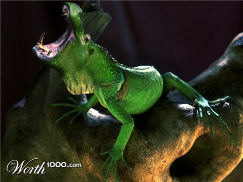 Photoshop Design by robmay82