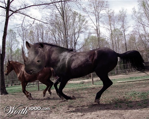 Photoshop Design by edurosa