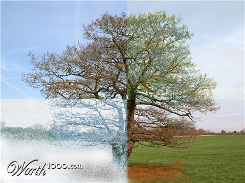 Photoshop Design by swichone