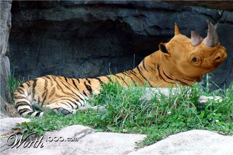 Photoshop Design by jrsoares