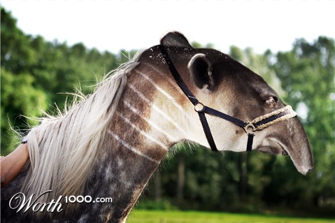 Photoshop Design by Troetti