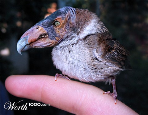 Photoshop Design by rizzato