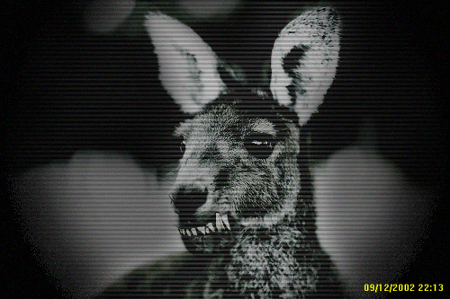 Photoshop-Design von Danman9914 für DesignCrowd (Community Contests) | Design #8944292