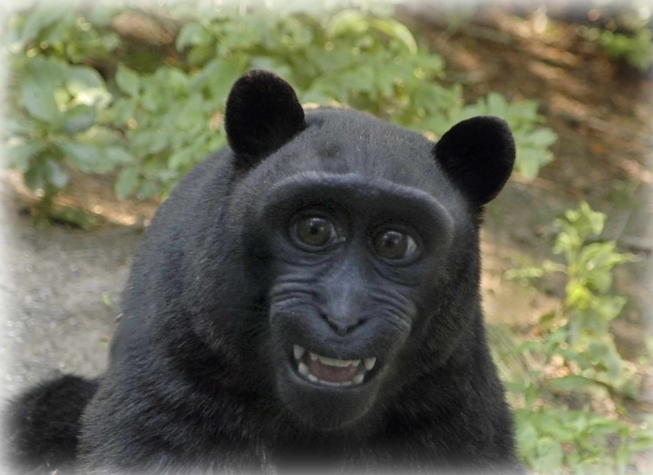 Photoshop Design by puzopia for DesignCrowd (Community Contests) | Design #8944299