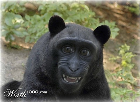 Photoshop Design by puzopia