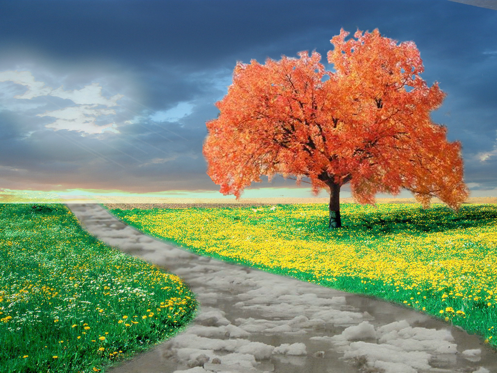 Photoshop Design by cauzeneffeckt for DesignCrowd (Community Contests) | Design #8940486