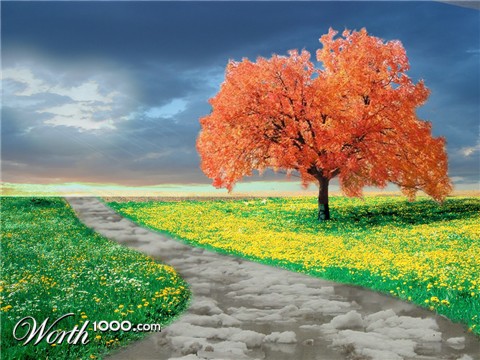 Photoshop Design by cauzeneffeckt