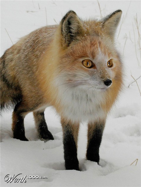 Photoshop Design by ilovekarate