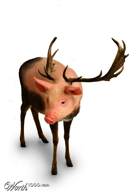 Photoshop Design by Bagwold