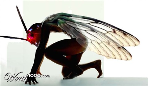 Photoshop Design by PeterAAAWelch