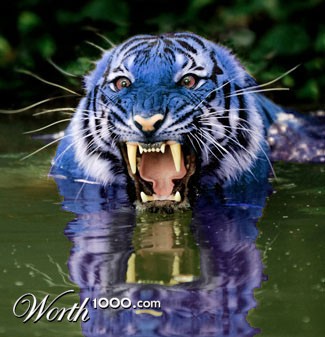 Photoshop Design by joemh1810