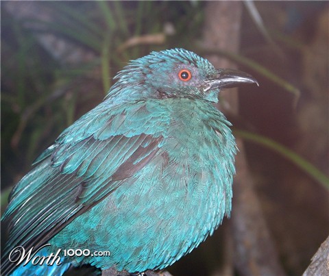 Photography by Mydonna