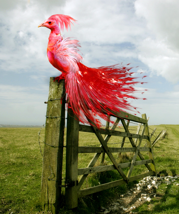 Photoshop Design by hazelann for DesignCrowd (Community Contests) | Design #8944340