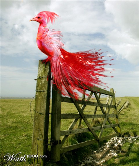 Photoshop Design by hazelann