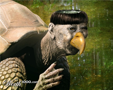 Photoshop Design by Isdelth