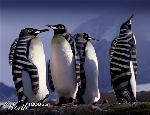 Photoshop Design by lauren86