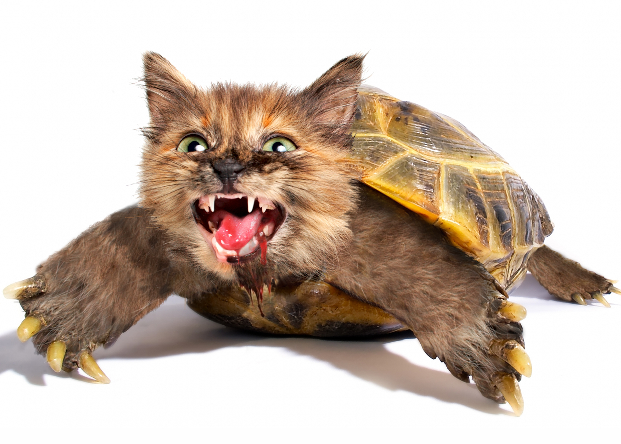 Photoshop-Design von JuniorWences für DesignCrowd (Community Contests) | Design #8944363