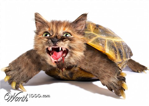 Photoshop Design by JuniorWences