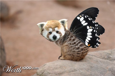 Photoshop Design by skyebarry