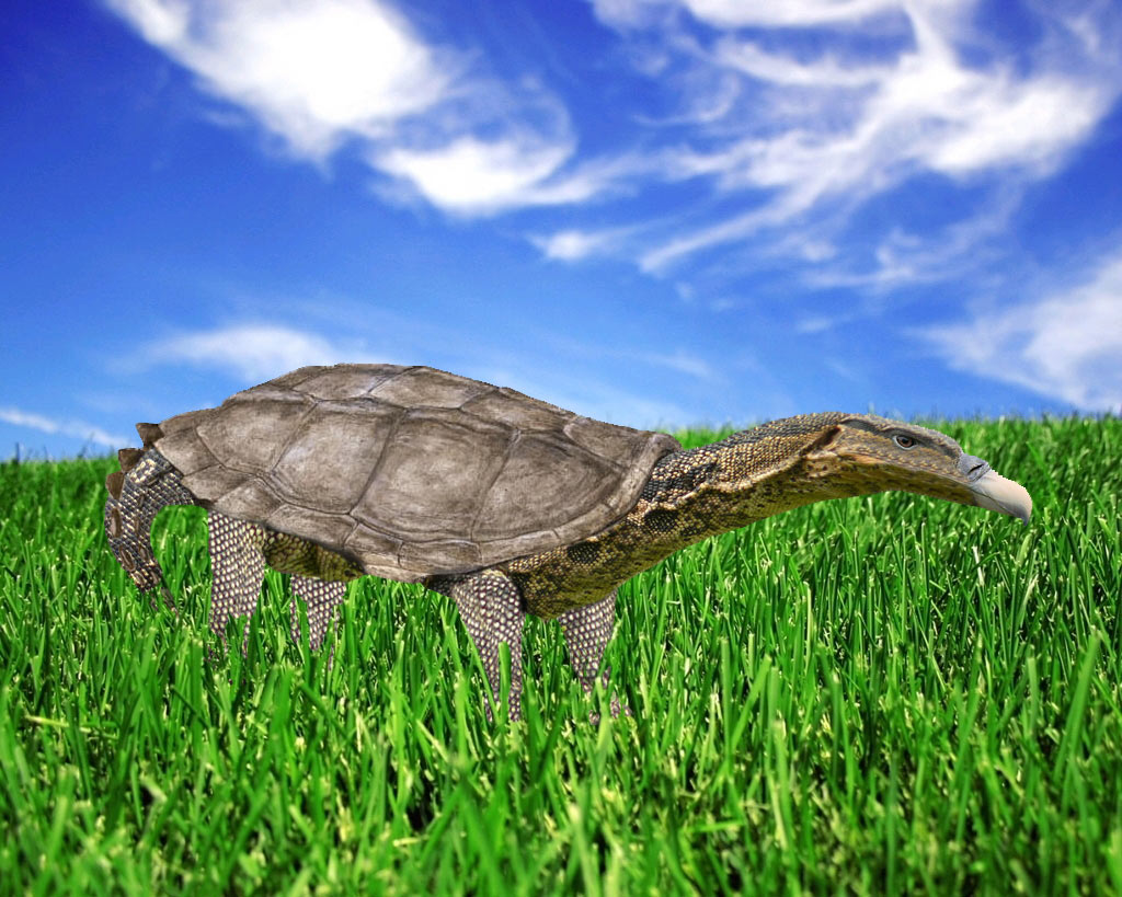 Design Photoshop par MrGert pour DesignCrowd (Community Contests) | Design #8944416