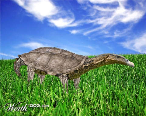 Photoshop Design by MrGert