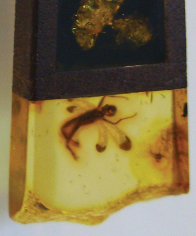 Diseño de Photoshop por GeshaR para DesignCrowd (Community Contests) | Diseño #8944425