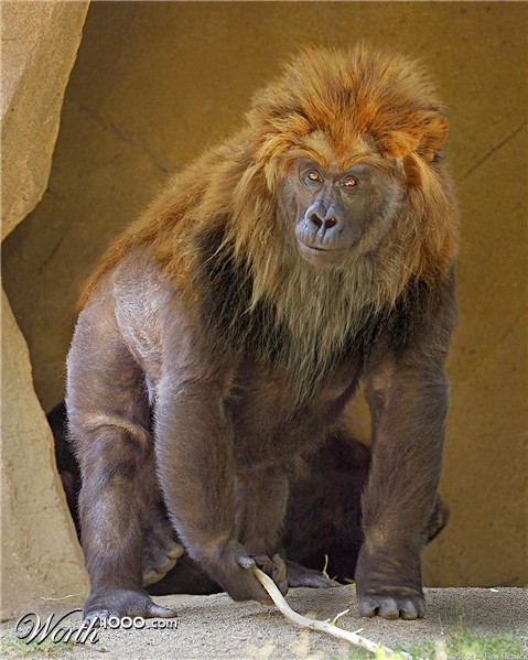 Photoshop Design by budiyono