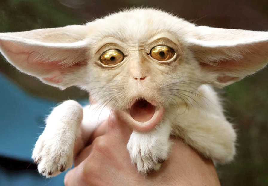 Photoshop Design by aards2 for DesignCrowd (Community Contests) | Design #8944373