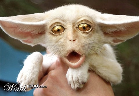 Photoshop Design by aards2