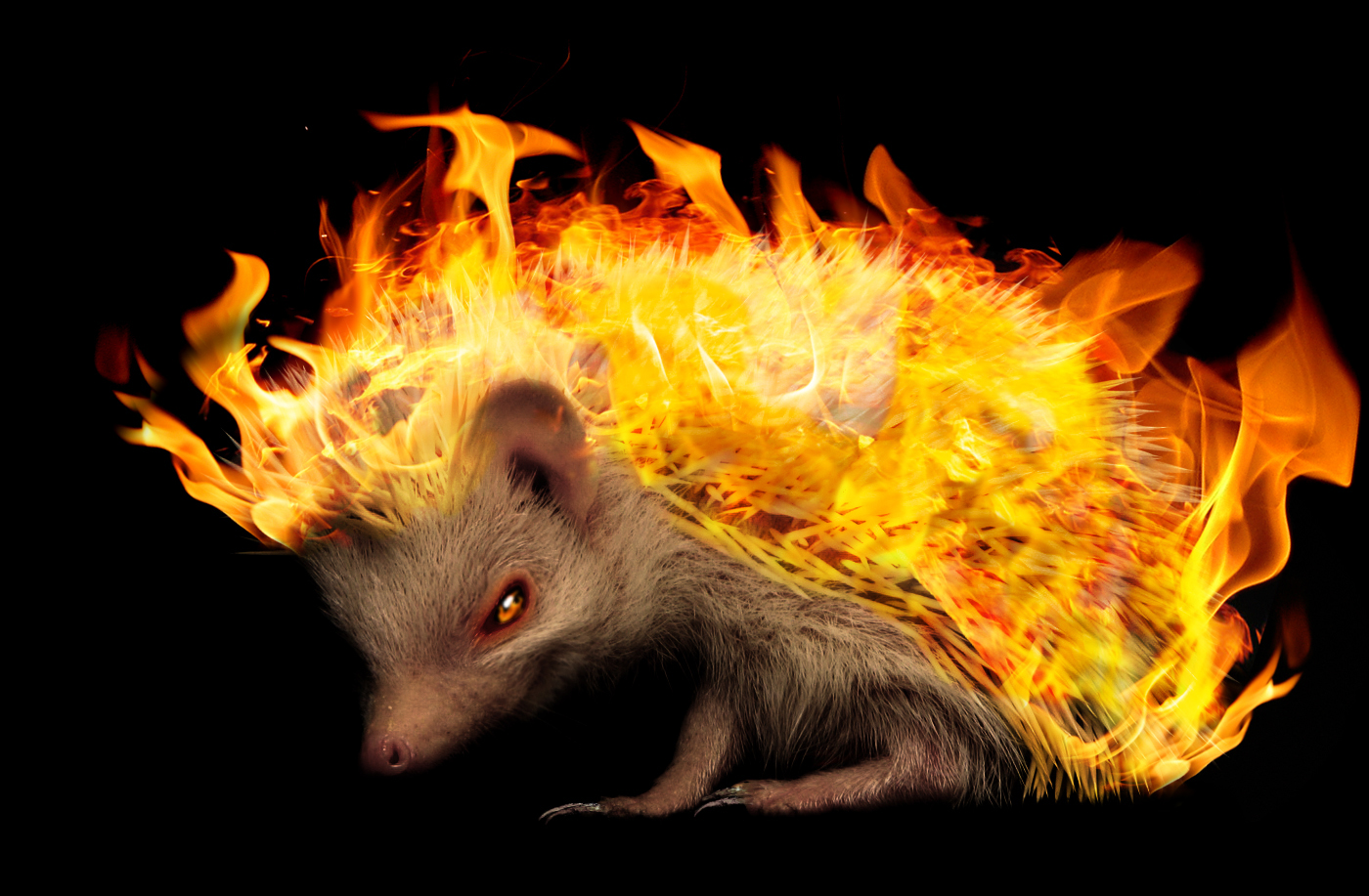 Photoshop Design by Monkeysniffer08 for DesignCrowd (Community Contests) | Design #8944378
