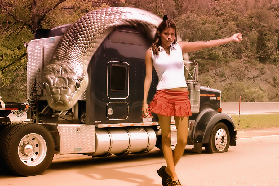 Photoshop Design by Trash63 for DesignCrowd (Community Contests) | Design #8940613