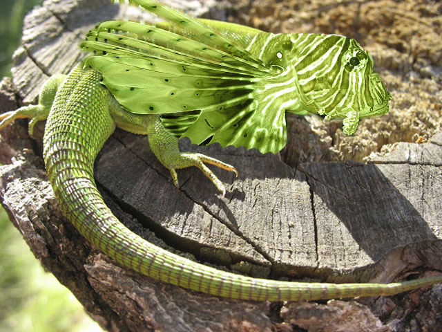 Photoshop-Design von frank1956 für DesignCrowd (Community Contests) | Design #8944460