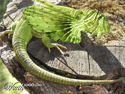 Photoshop Design by frank1956