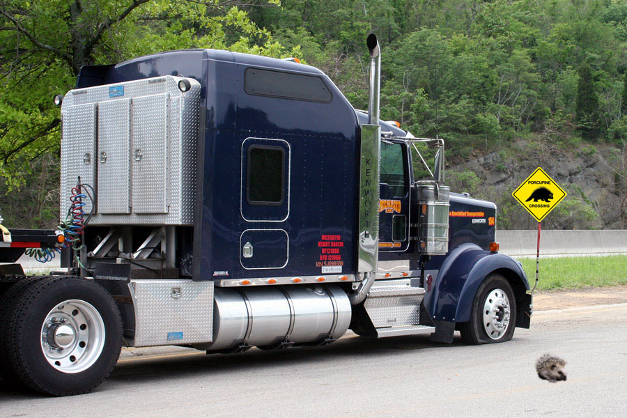 Photoshop-Design von frank1956 für DesignCrowd (Community Contests) | Design #8940645