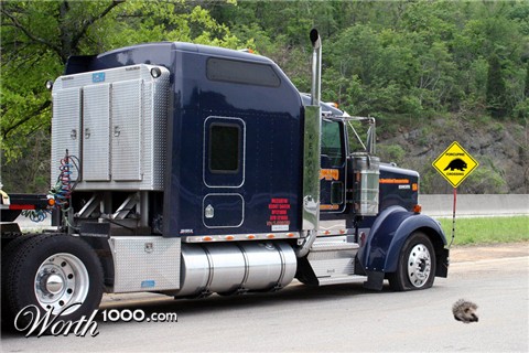 Photoshop Design by frank1956