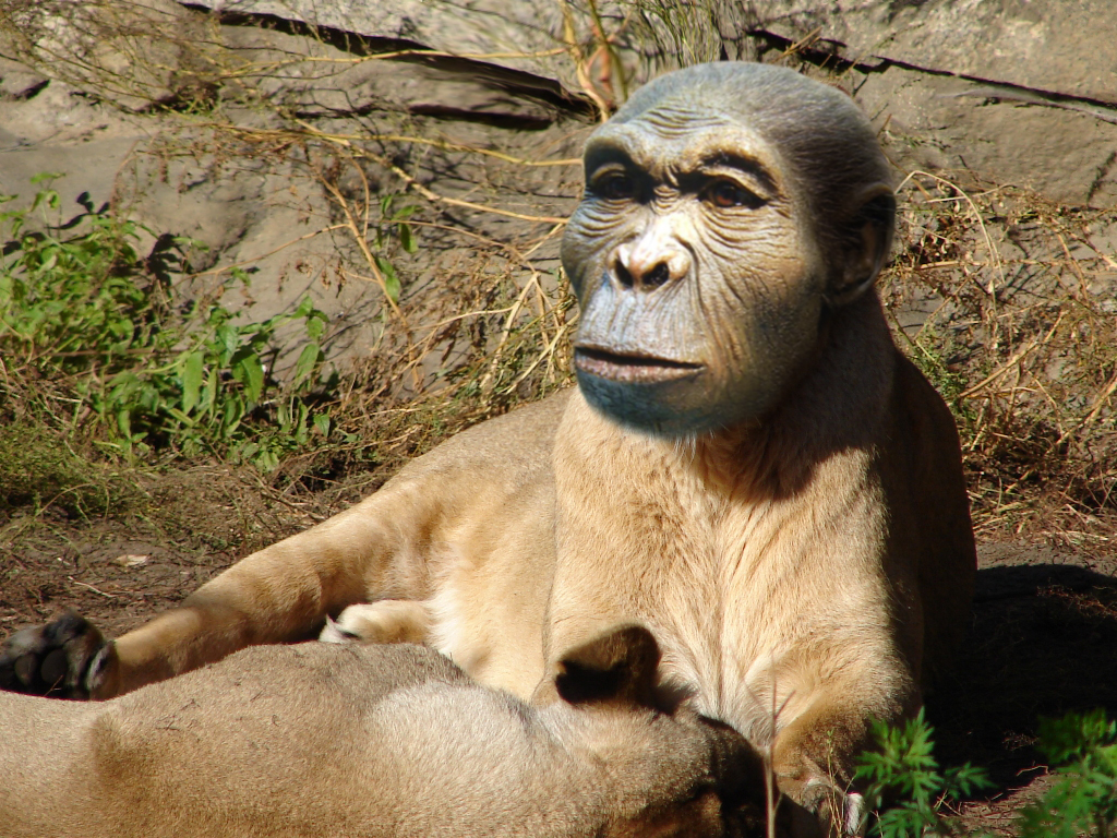 Photoshop Design by bicyclewilli for DesignCrowd (Community Contests) | Design #8944512