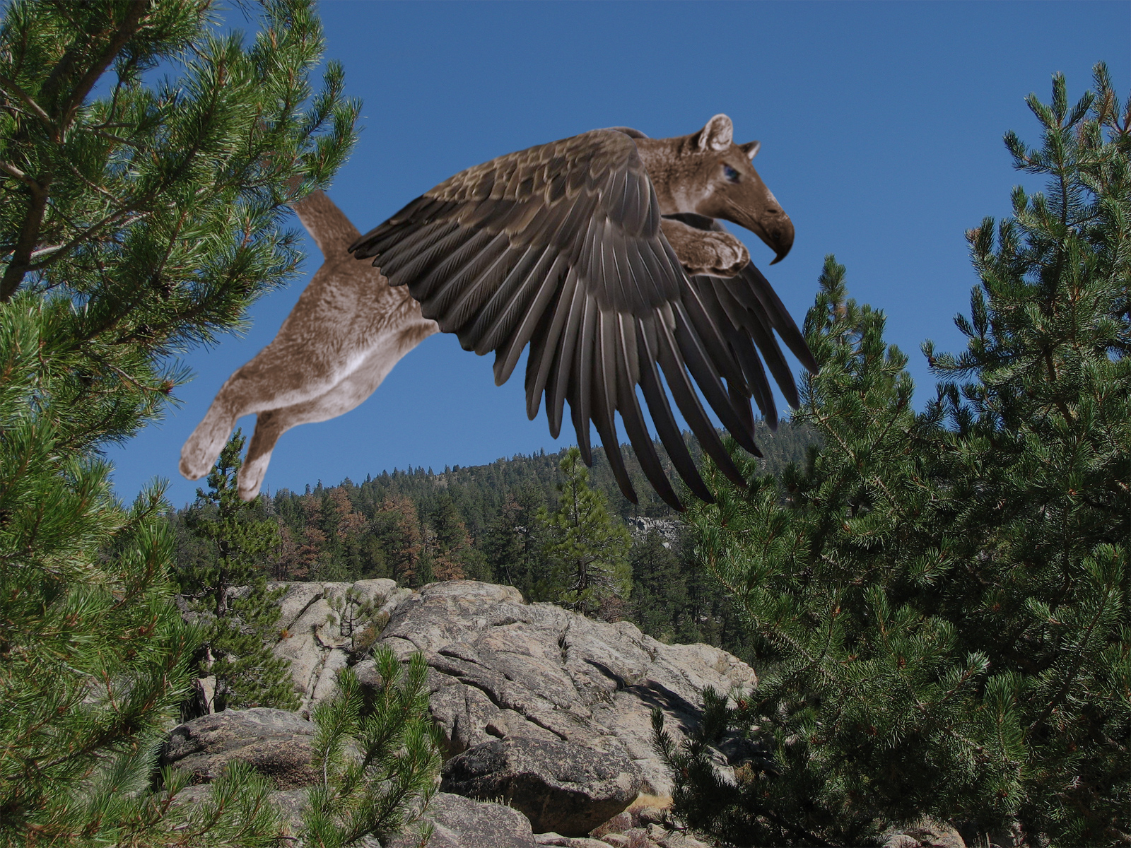 Diseño de Photoshop por Sl3dgeHammer para DesignCrowd (Community Contests) | Diseño #8944572