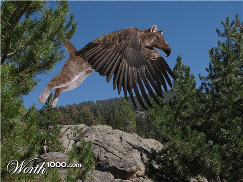 Photoshop Design by Sl3dgeHammer