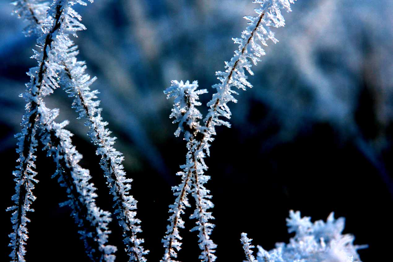 Photographie par doodler pour DesignCrowd (Community Contests) | Design #8937599