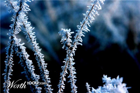 Photography by doodler