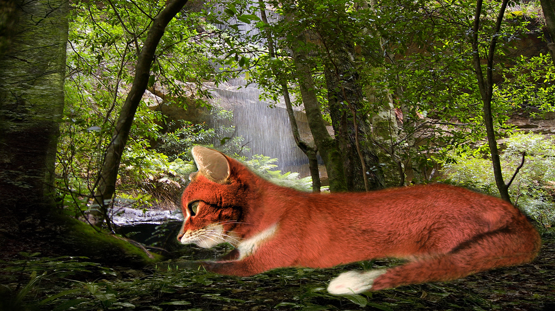 Photoshop Design by allstate for DesignCrowd (Community Contests) | Design #8944563