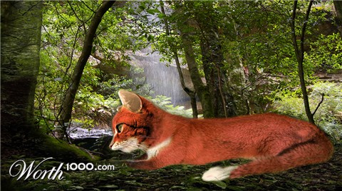 Photoshop Design by allstate