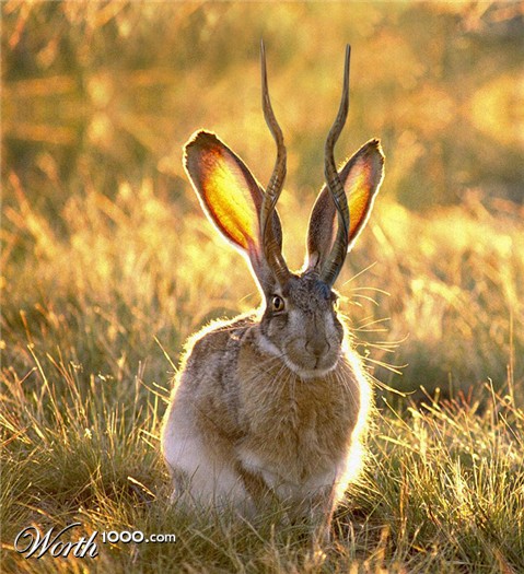 Photoshop Design by spawn00x