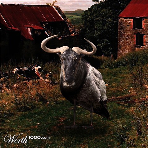 Photoshop Design by Krestan