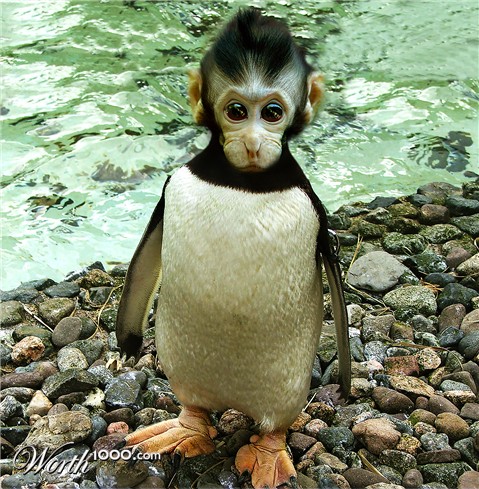 Photoshop Design by darruda