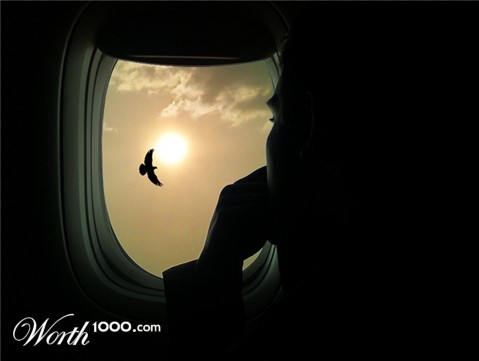 Photoshop Design by siennawe