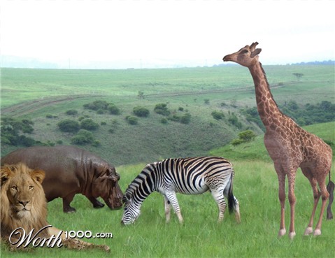 Photoshop Design by rille1